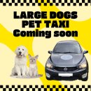 라지독스 이미지