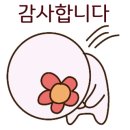 바움스터디 이미지