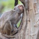 심성 농장 이미지