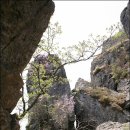 서대산드림리조트(주) 이미지