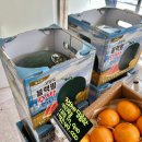 동네과일촌컵과일 | 서울 과일도시락 맛집 프루떼, 컵과일 단체 간식 답례품 배달 추천