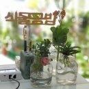 식물공방 - 문경시 신기산단1길 5-13 | 식물공방