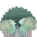 숲속의 휴식 이미지