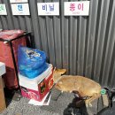 전일세차장 이미지