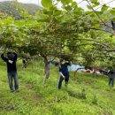 고성군농업기술센터 이미지