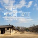 연천-6 이미지
