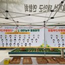 힐링마켓 이미지