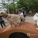 반려동물 테마공원 화장실 연합뉴스