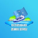 미크로네시아 폰페이 국제 배송! 해외 섬까지 포워딩 운송 업체 후기