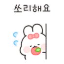 김동권 독 트레이닝센터 이미지