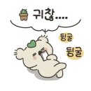 올리앤보니