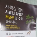영농조합법인 새싹 이미지