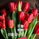 예쁜하루 이미지