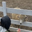 제이제이오토 이미지