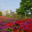 수원-1246 이미지