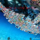 엑스포갤러리 이미지