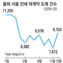 정연초 이미지