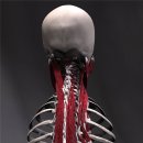 Body Master Gym 이미지