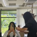 모닝글로리지축점 | 지축역미용실 마잉 헤드스파 커트 후기