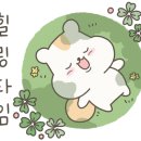 두잇투릿 이미지
