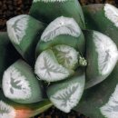 만상농장 이미지