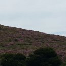 좋은아침 이미지