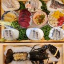 가자 대광어회 | [신촌 추천] 가성비 좋은 랍스터 / 참치 / 숙성회 맛집 &#39;해누리&#39; 횟집