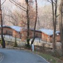 대야산자연휴양림 이미지