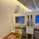 945 | 인천&lt;-&gt;프랑크푸르트 대한항공 프레스티지KE945,KE946 후기✈️(기내식위주)