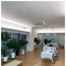 더바른의원 이미지