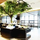 오션갤리(Ocean Galley)