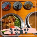 신(辛)낙지 신났지 | 고양 화정역맛집 동양솥밥 줄서서먹는 화정점심 후기