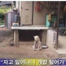 스카이독서실 이미지