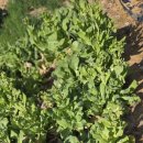 구억경로당 이미지