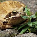 푸르지오아파트 이미지