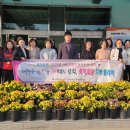 농업기술센터(자원봉사센터) | [삼척] 삼척시자원봉사센터, 삼척시농업기술센터 국화꽃 기부로 온기나눔 실천