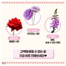 희노애락플라워