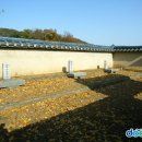 삼충단 이미지