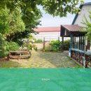 측백장어 이미지