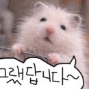 코코빈티지구제샵