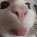 멋장이 이미지