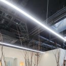 플랜테리어 | 힐링 헤어숍 플랜테리어🌿 ,감성 듬뿍 조화 플랜테리어 시공 후기