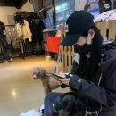 힐링이 필요할 때 잠실 애견카페 도그존 "DogZone"