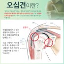 마디세움 정형외과의원 이미지