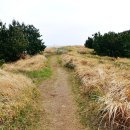 제주 셋알오름 일제 고사포진지 이미지