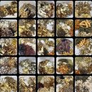 소담재한의원 이미지