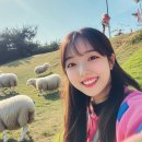 아름목장 | 6월엔 여기! 후회 없을 선택 김해 양떼목장 부산근교 당일치기 동물 먹이주기 체험 아이와함께