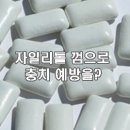 자일리톨 껌으로 충치 예방을? 자일리톨의 진실 이미지