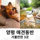 뛰어놀개 애견펜션 | 양평 애견동반 여행 가볼만한곳 3곳 (계곡, 운동장, 맛집)