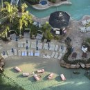 해일수산 | 25.05 골드코스트여행, 5월 골드코스트 날씨, 호텔추천, 브리즈번-골드코스트 가는법, 골드코스트공항